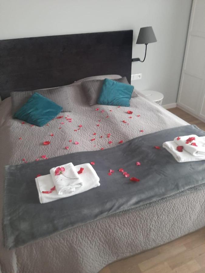 Apartamenty Koci Ogon Торунь Экстерьер фото
