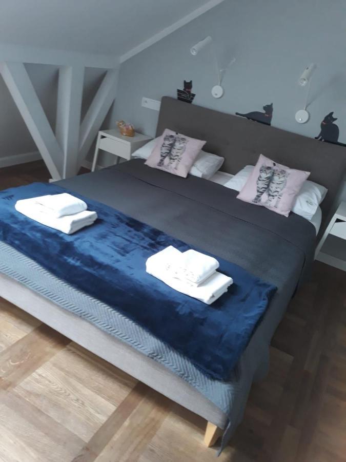 Apartamenty Koci Ogon Торунь Экстерьер фото