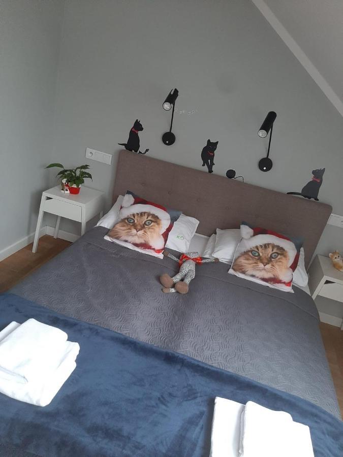 Apartamenty Koci Ogon Торунь Экстерьер фото