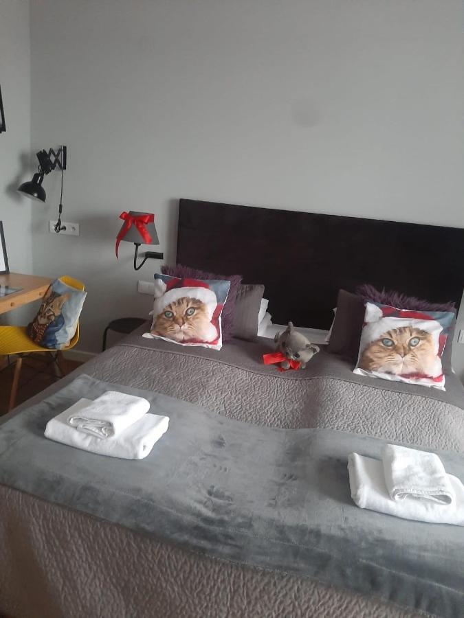 Apartamenty Koci Ogon Торунь Экстерьер фото